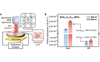 GC faculty members publish research findings in Nature Communications