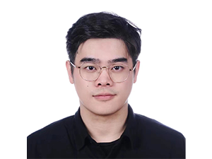 Dissertation Title: Structural Health Monitoring Leveraging High Frequency Resonances and Zero Group Velocity Guided Waves